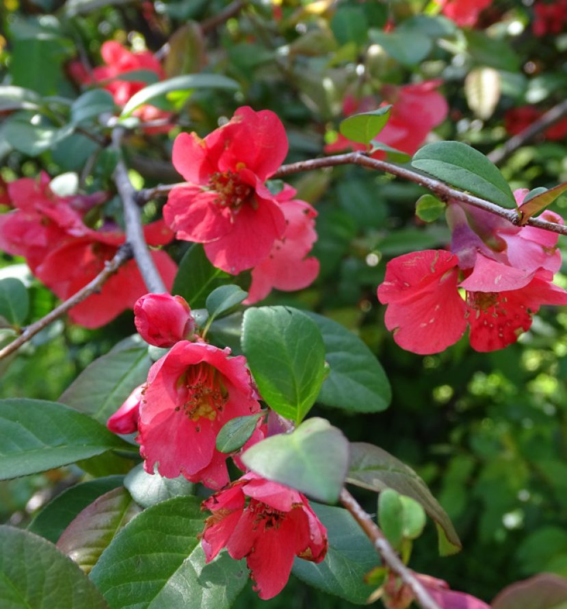 img_programa img_programa